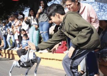 POES a la vanguardia