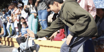 POES a la vanguardia