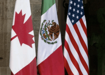 Buscan en EU cuotas al aguacate