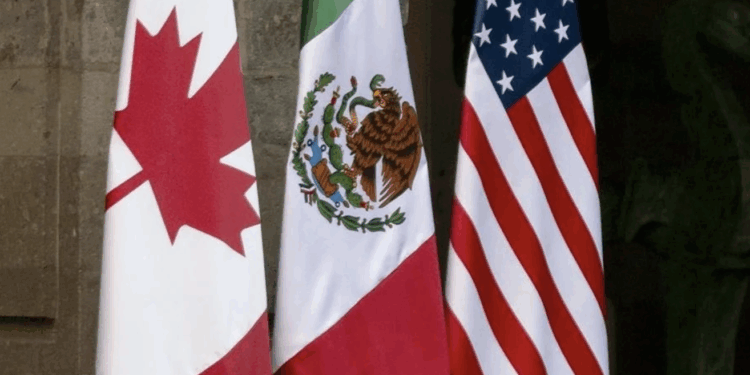 Buscan en EU cuotas al aguacate