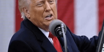 Pierde México 17,530 mdd por evasión fiscal de EU