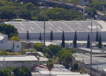 Querétaro compensa más de 800 mil toneladas de CO₂ con proyectos ambientales: SEDESU