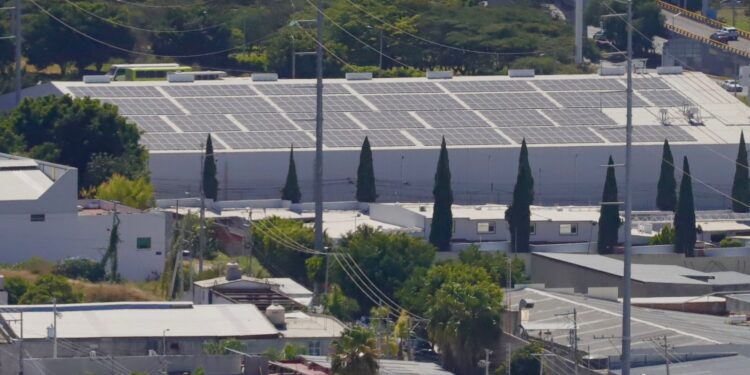 Querétaro compensa más de 800 mil toneladas de CO₂ con proyectos ambientales: SEDESU