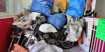 Talan en el Parque lineal de Las Hadas