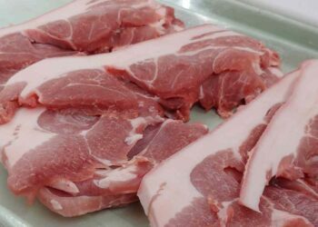 Payasos, magos y trapecistas llegarán con el Boba Fest Festejando en Escena