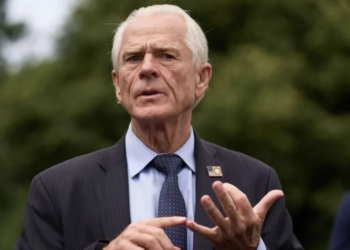 Se alinea México a muro arancelario de Trump: Navarro