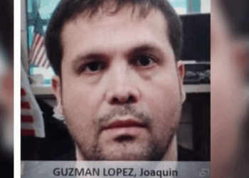 ‘Chapito’ engañó y plagió al ‘Mayo’ 