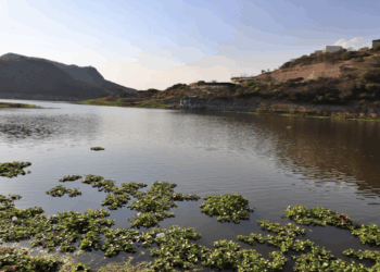 Advierte de peligros en plan de nueva ley de Aguas Nacionales 