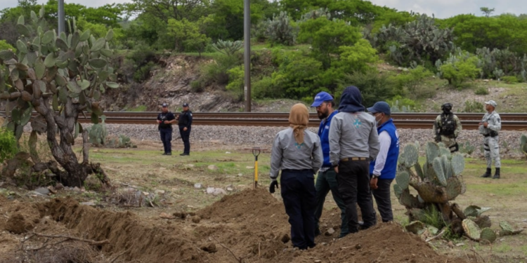Borrador automático