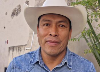 Borrador automático