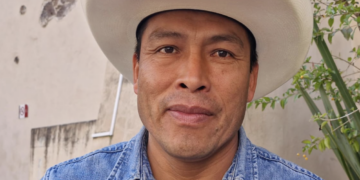 Borrador automático