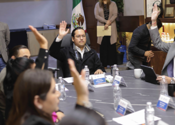 Presiones no influirán en voto: Gina