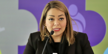 Presiones no influirán en voto: Gina