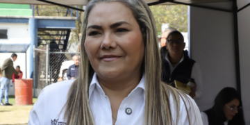 Borrador automático