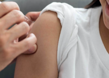 Aún no hay casos de influenza A H3N2, variante K en México