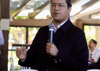 Octava delegación va: Felifer