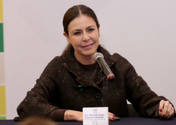 Esperan 350 mil turistas noche en la ciudad