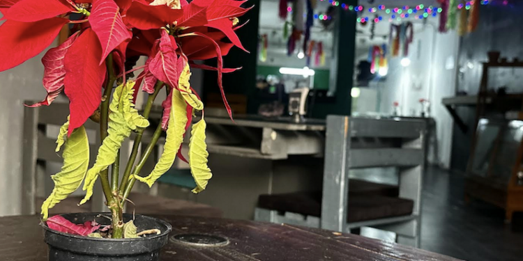 Habilitan Jardín Guerrero y Andador Madero para la venta de artesanías 