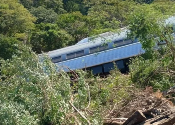 Se descarrila Tren Interoceánico en Oaxaca