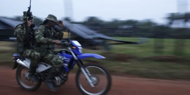 37 % de miembros de disidencia de las FARC pueden ser menores