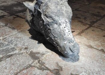 “Nosotros escribimos el futuro”: Amin Maalouf