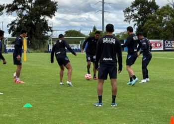 Gallos Blancos vuelve al trabajo