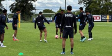 Gallos Blancos vuelve al trabajo