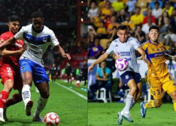 Gallos Blancos vuelve al trabajo