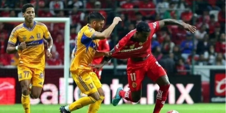 Esteban González es nuevo técnico de Gallos Blancos