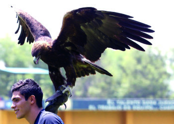 Napoli vence al Milan y avanza a la Final de la Supercopa de Italia