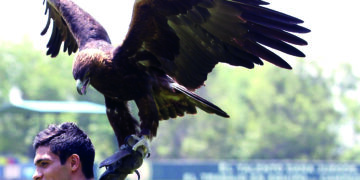 Napoli vence al Milan y avanza a la Final de la Supercopa de Italia