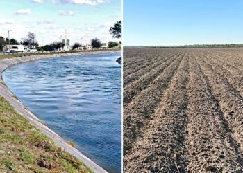 Se descarrila el Tren Interoceánico en Oaxaca