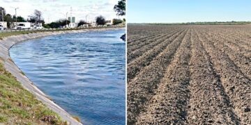 Se descarrila el Tren Interoceánico en Oaxaca