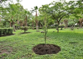 Zonas del tramo de tren México Querétaro, prioritarias en programa de Reforestación 2026