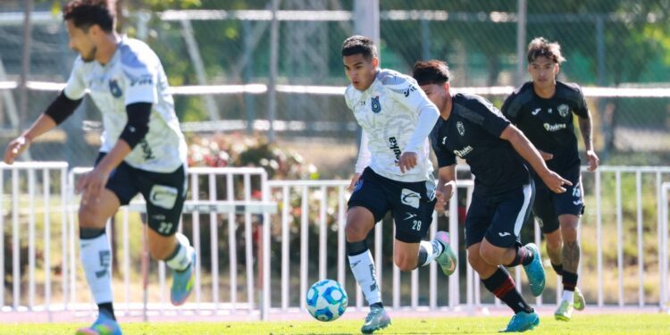 Comparte Ferrari culpa en problemas de Hamilton