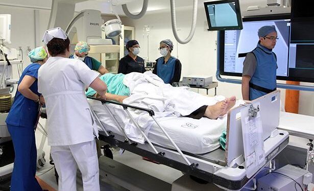 Fortalece El Marqués protección animal