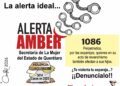 La alerta ideal