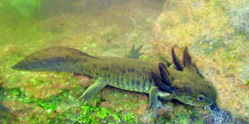 Centro de empoderamiento de las Mujeres impacta a 8 mil 300 personas en 2025