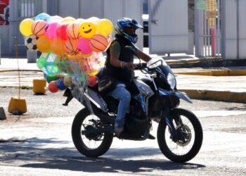 Llaman a evitar pedir y regalar mascotas como regalos para este 6 de enero