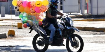 Llaman a evitar pedir y regalar mascotas como regalos para este 6 de enero