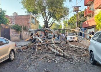 Adulto mayor muere en CDMX durante sismo magnitud 6.5