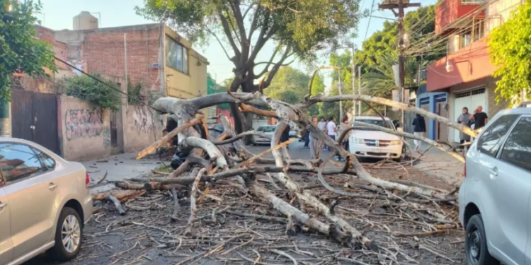 Adulto mayor muere en CDMX durante sismo magnitud 6.5