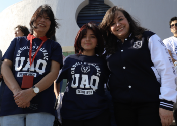 Habilitaron centros de acopio para la recolección de árboles naturales