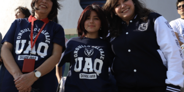 Habilitaron centros de acopio para la recolección de árboles naturales