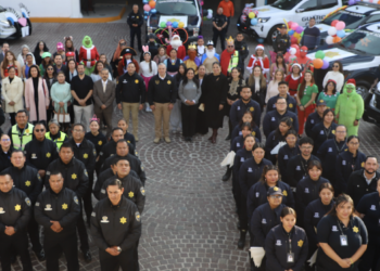 Habilitaron centros de acopio para la recolección de árboles naturales