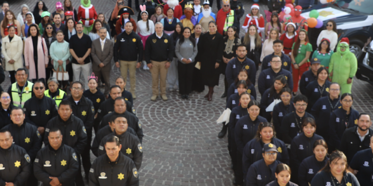 Habilitaron centros de acopio para la recolección de árboles naturales