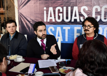 Habilitaron centros de acopio para la recolección de árboles naturales