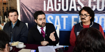 Habilitaron centros de acopio para la recolección de árboles naturales