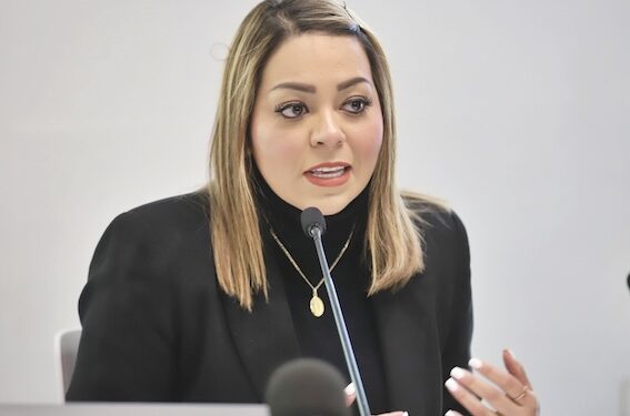 La despenalización del aborto entre los  temas de diputados