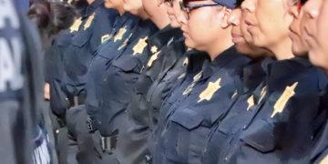 Información sobre afiliaciones en aplicación móvil del PAN no baja a los estados: Arango